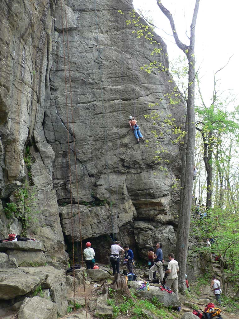 P1050571