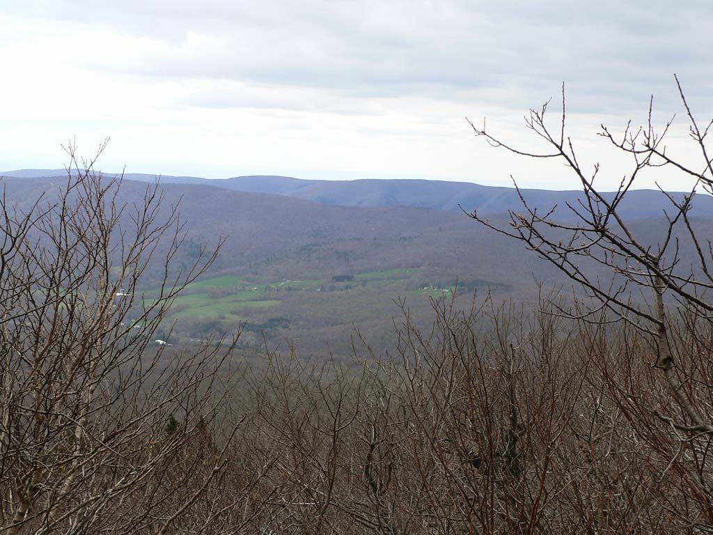 P1030696