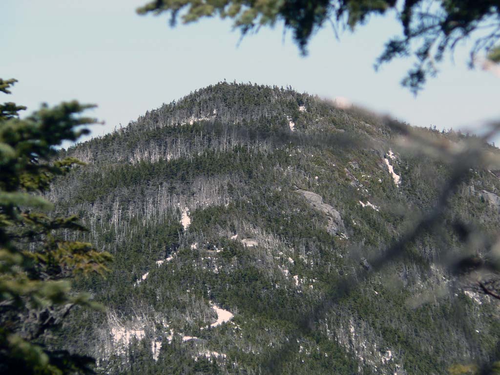 P1030476