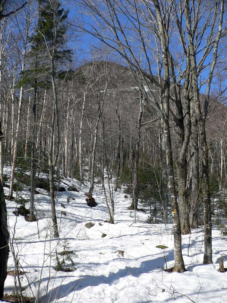 P1030497
