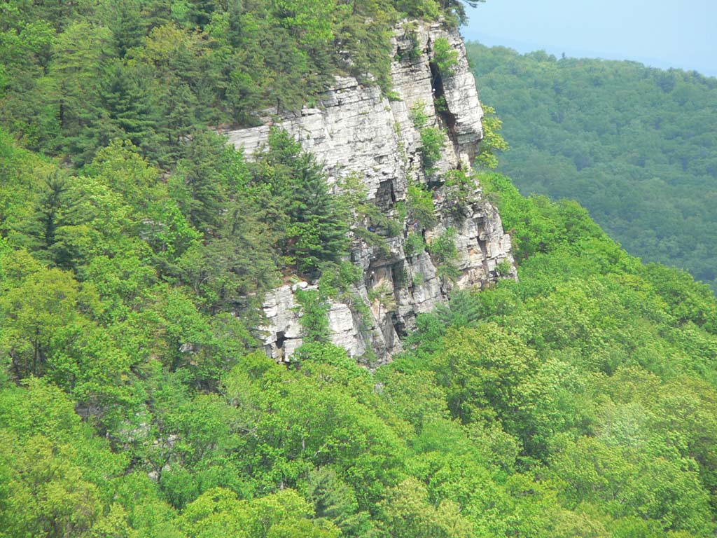 P1050646