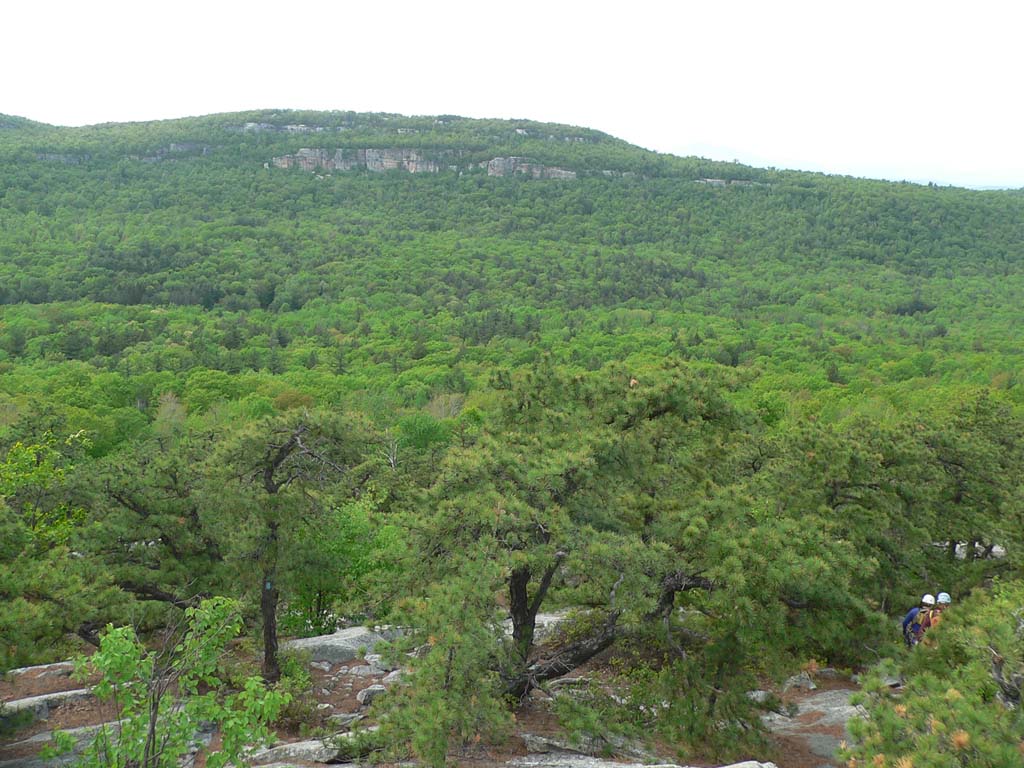 P1050664