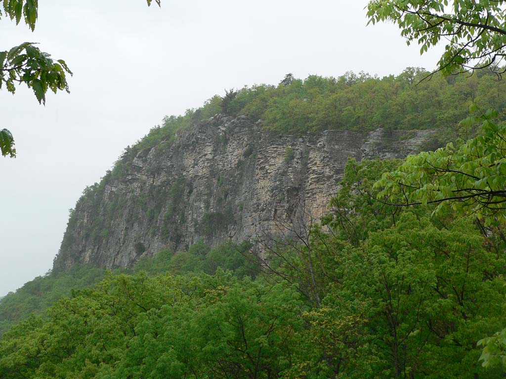 P1050696